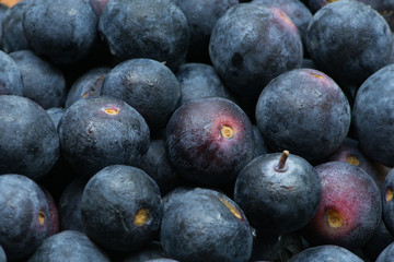 Blueberries