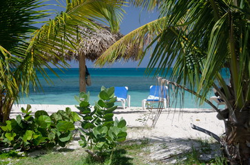 Palms, beach chairs and palm leaf umbrellas on beautiful Cocobay