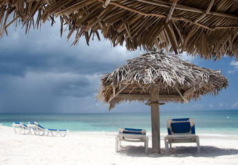 Palms, beach chairs and palm leaf umbrellas on beautiful Cocobay
