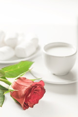 Still life for breakfast in low key format