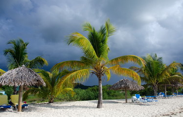 Palms, beach chairs and palm leaf umbrellas - 2