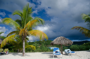Palms, beach chairs and palm leaf umbrellas