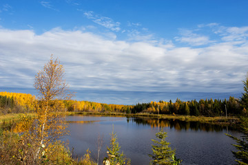 Large pond of water surrounded by a forest of green and yellow trees in a Saskatchewan autumn landscape