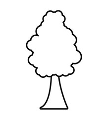 tree plant forest monochrome isolated icon vector illustration design