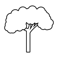 tree plant forest monochrome isolated icon vector illustration design