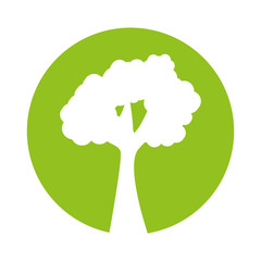 tree plant forest isolated icon vector illustration design