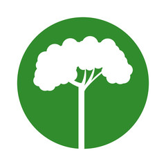 tree plant forest isolated icon vector illustration design
