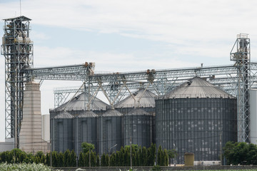 Grain storage silos.  Grain warehouse 