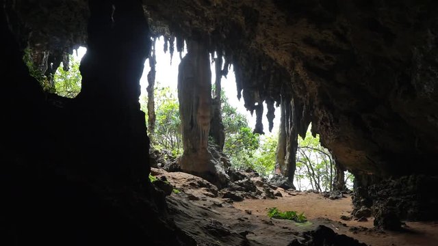 Exit of a limestone cavern with stalactites and stalagmites, Rurutu island, south Pacific, Austral archipelago, French Polynesia

