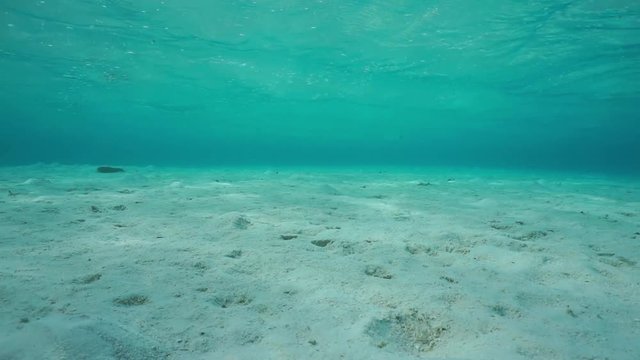 Sand underwater on a shallow ocean floor with ripples of water surface in the lagoon of Bora Bora, natural scene, Pacific ocean, French Polynesia
