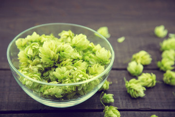 Close up of green ripe hop cones in a glass bowl over dark rusti