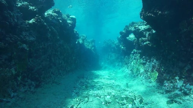 Rocky underwater landscape, a small canyon carved into the ocean floor, fore reef of Huahine island, Pacific ocean, French Polynesia
