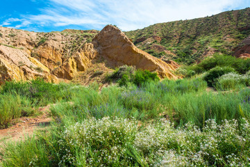 Mountain landscape in the canyon Fairy Tale, Kyrgyzstan.