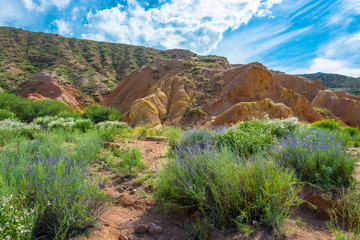 Mountain landscape in the canyon Fairy Tale, Kyrgyzstan.