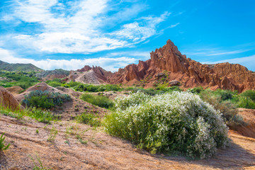 Mountain landscape in the canyon Fairy Tale, Kyrgyzstan.