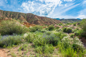 Mountain landscape in the canyon Fairy Tale, Kyrgyzstan.