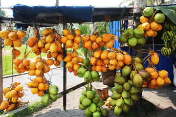 Coconut Shop Sri Lanka