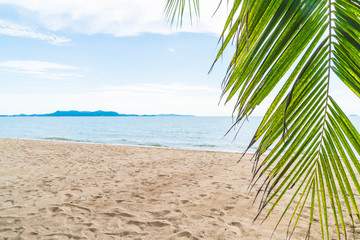 Palm and tropical beach at Pattaya in Thailand