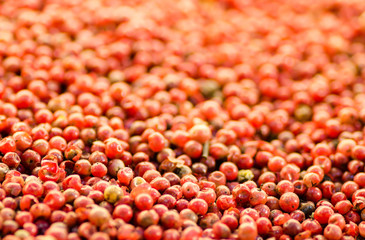 Bright red peppercorn on asian bazaar. Shallow depth of field