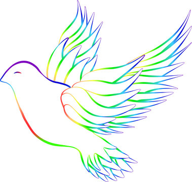 Pigeon painted by rainbow line. Vector illustration.