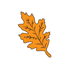 Leaf illustration vector