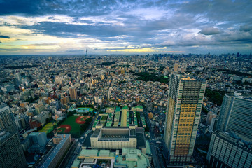 Fototapeta na wymiar A view of Tokyo