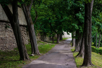 Path along a fortification in Pskov