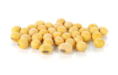 soy beans isolated on white background.