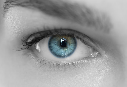 Blue iris eye over black and white. Macro shot.