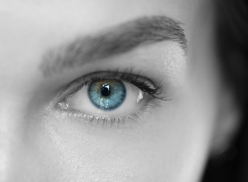 Blue iris eye over black and white. Macro shot.