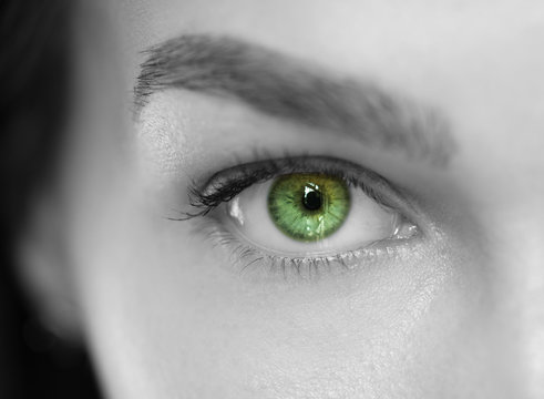 Green iris eye over black and white. Macro shot.