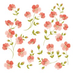 Set of Linen flowers elements. Collection of flower elements isolated on white background. Elegant spring flowers bundle. Vector illustration.