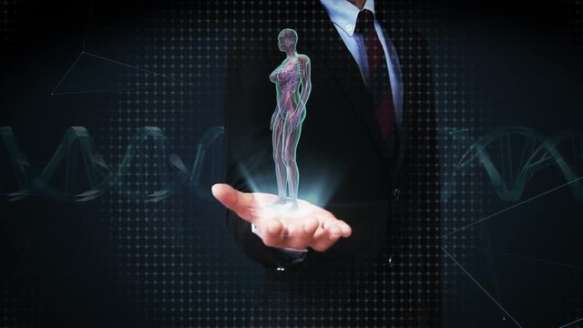Businessman open palm, Rotating Female Human cardiovascular system, blood system, Blue X-ray light.