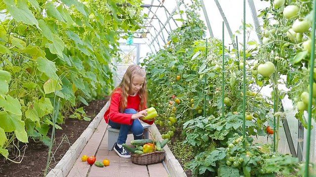 Adorable little girl gathering crop of cucumbers, pepers and tomatoes in greenhouse.