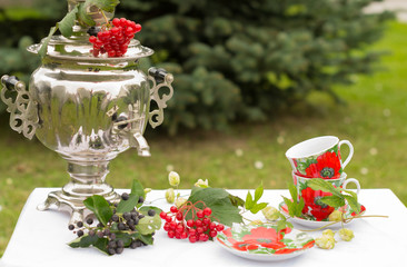 Самовар на столе с чашками и блюдцами на фоне елки, калина