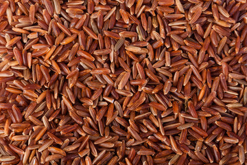 Natural rice Background
