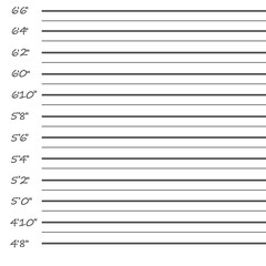 Police mugshot.  lineup on white background. Vector illustration