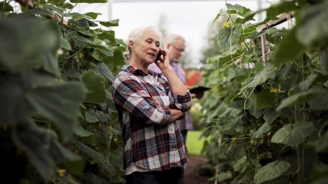 old woman calling on smartphone in farm greenhouse