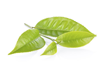 tea leaf on white background