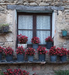 Fototapeta na wymiar Geraniums on a Catalan window Spanish window containing geraniums in Beget, a medieval village in the Pyrenees, Catalonia, Spain