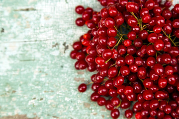 Viburnum. Close-up. Background