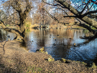 Park Sempione. Autumn landscape. Milan, Italy.