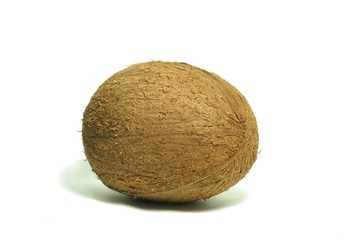 Large coconut 5
