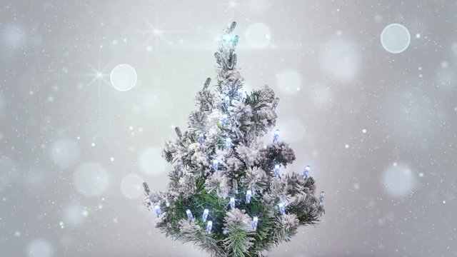 christmas tree and silver glitter snowfall. seamless loop holiday background. 4k (4096x2304)

