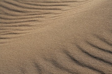 Fototapeta na wymiar golden sand on the beach 13