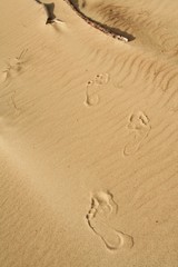 The human foot on the sand 8