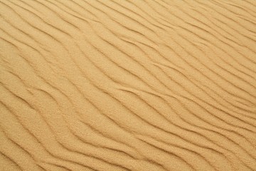 golden sand on the beach 12