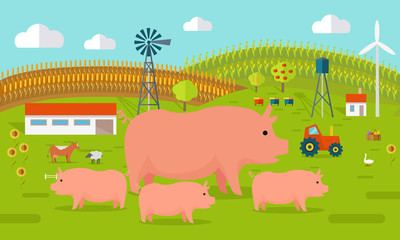 Pigs on Farmyard Concept Illustration.  