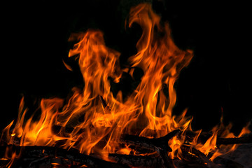 Fototapeta premium fire flame bonfire spurts
