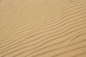 golden sand on the beach 10